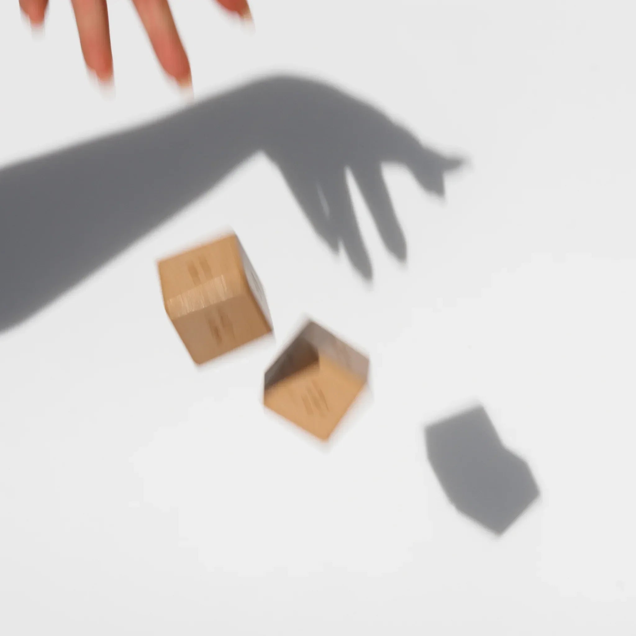 Decision Dice Set - Pakks